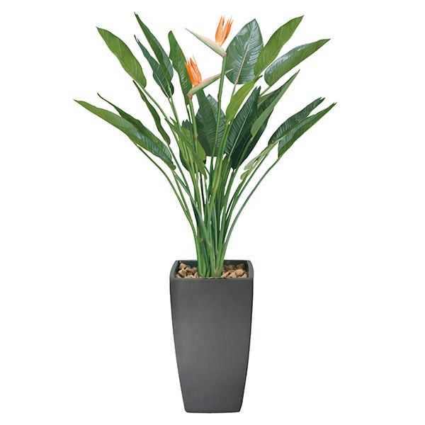 lHG} ϗtA lHϗtA ϗtA  Xg`Aԕt 160cm tFCNO[ ̊y L R h