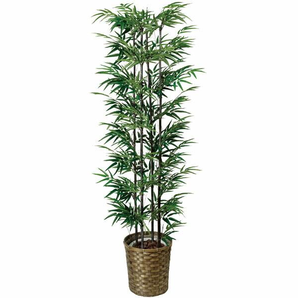 G} ϗtA lHϗtA | (/VR|) 160cm tFCNO[ L R h