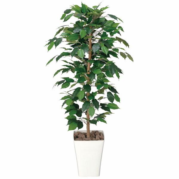 G} ϗtA lHϗtA tBJXxW~ 120cm  tFCNO[ A[gO[