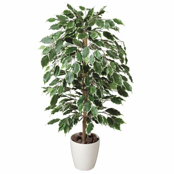 G} ϗtA lHϗtA S[ftBJX 100cm  tFCNO[ A[gO[