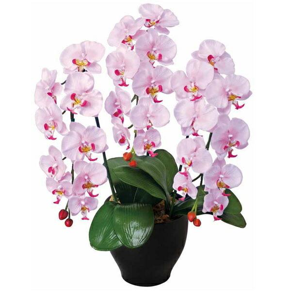 Ӓ  ӒZ[XL G} ϗtA CeA lC   A[gt[ Mtg   CeA