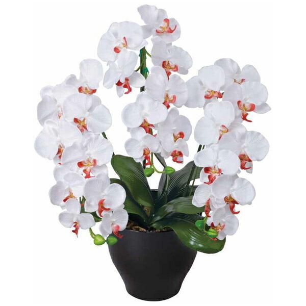 Ӓ  ӒZ[XW/AB G} ϗtA CeA lC   A[gt[ Mtg 