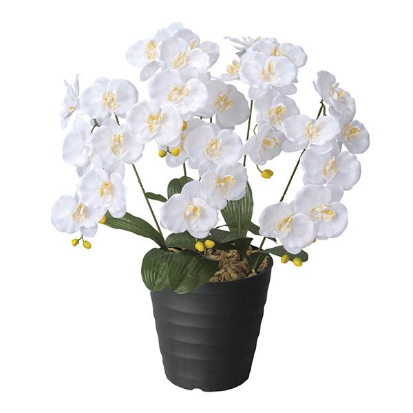 Ӓ  GWFӒW G} ϗtA CeA lC   A[gt[ Mtg  v[g