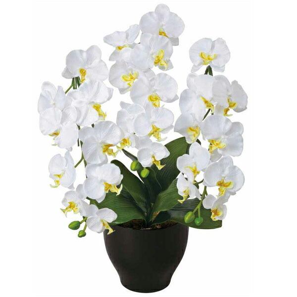 Ӓ  ӒZ[XW G} ϗtA CeA lC   A[gt[ Mtg 