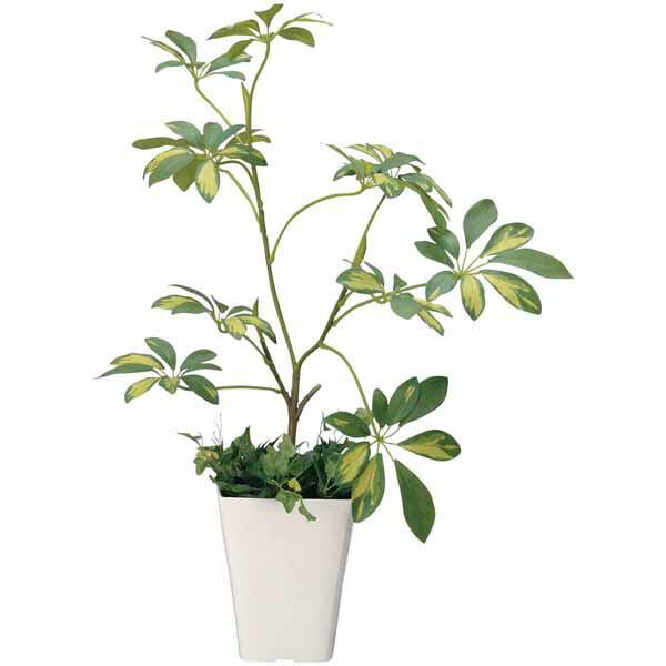 G} ϗtA lHϗtA VFt 68cm tA^Cv ~hTCY tFCNO[ A[gO[