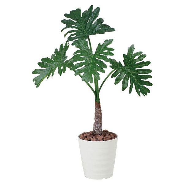 G} ϗtA lHϗtA C~e[VO[ lHA  L h h zAfqh  Z[ 1.0