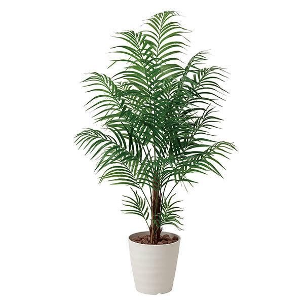 ̓ Mtg  G} ϗtA AJp[ 150cm L R lHϗtA tFCNO[ ̊y