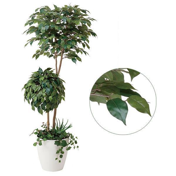 母の日 ギフト 花 光触媒 観葉植物 ベンジャミン 高さ180cm 光触媒観葉植物 植栽付 消臭 抗菌 人工観葉植物 フェイクグリーン 0119a 家具通販 インテリアショップ Arne 通販 Yahoo ショッピング
