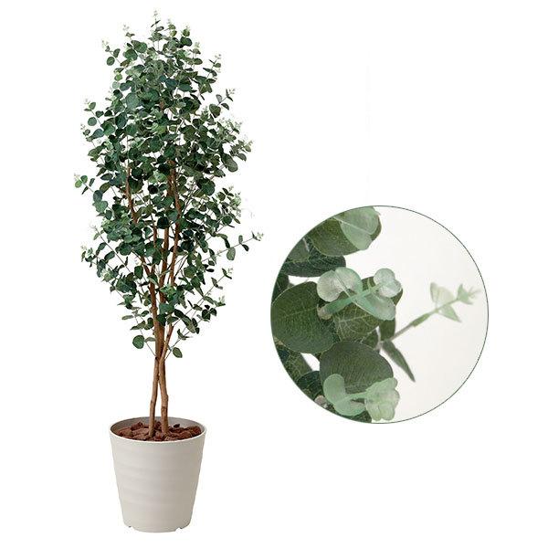 ̓ Mtg  G} ϗtA [J 160cm L R lHϗtA tFCNO[ ̊y