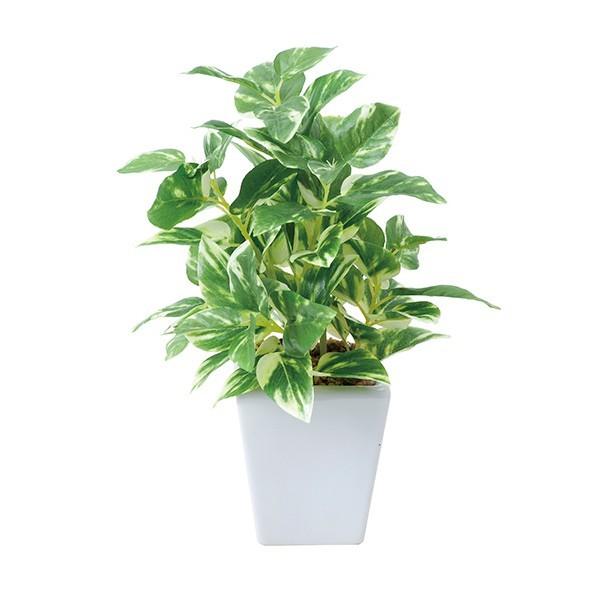 光触媒 観葉植物 インテリア 人工観葉植物 造花 卓上 テーブル ポトスポット 0119a 家具通販 インテリアショップ Arne 通販 Yahoo ショッピング