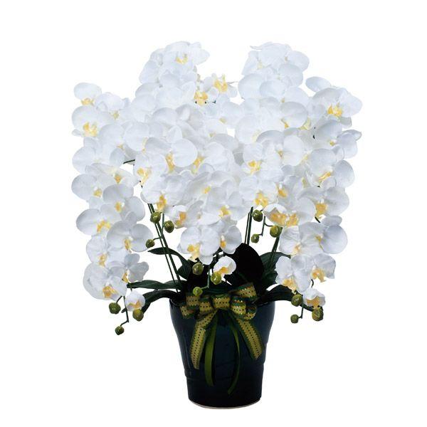 G} Ӓ 5{  A[gt[ CӒ5{