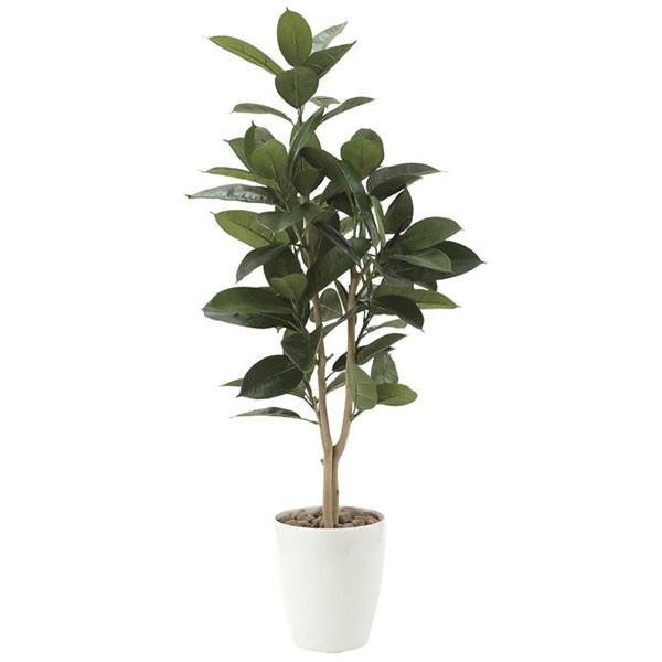 G} ϗtA A lHϗtA O[ S̖1.25 125cm