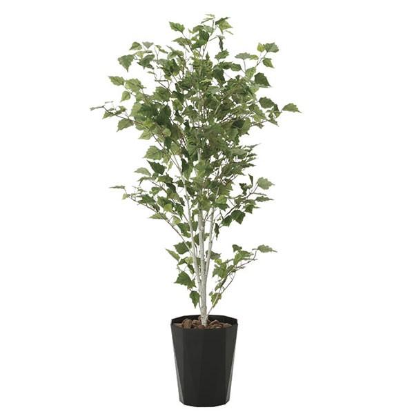 光触媒 観葉植物 植物 人工観葉植物 グリーン 白樺1.4 高さ140cm