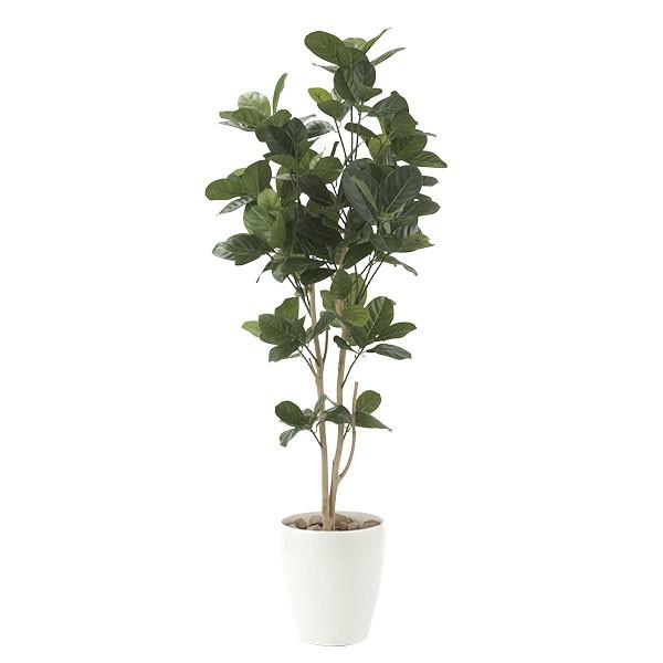 G} ϗtA A lHϗtA O[ p̖1.25 125cm