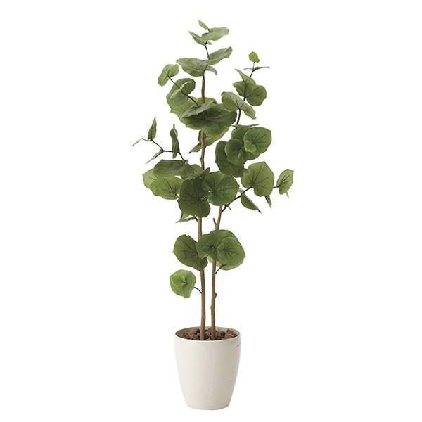 G} ϗtA A lHϗtA O[ V[O[v1.25 125cm