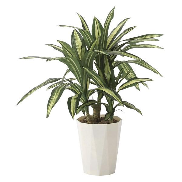 lHϗtA G} ϗtA tFCNO[ CeA CeAO[ lHA K̖70 70cm