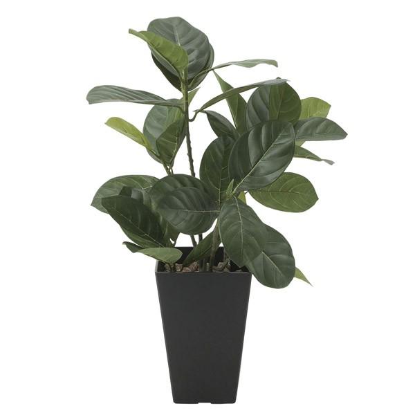 lHϗtA G} ϗtA tFCNO[ CeA CeAO[ lHA p̖ 45cm