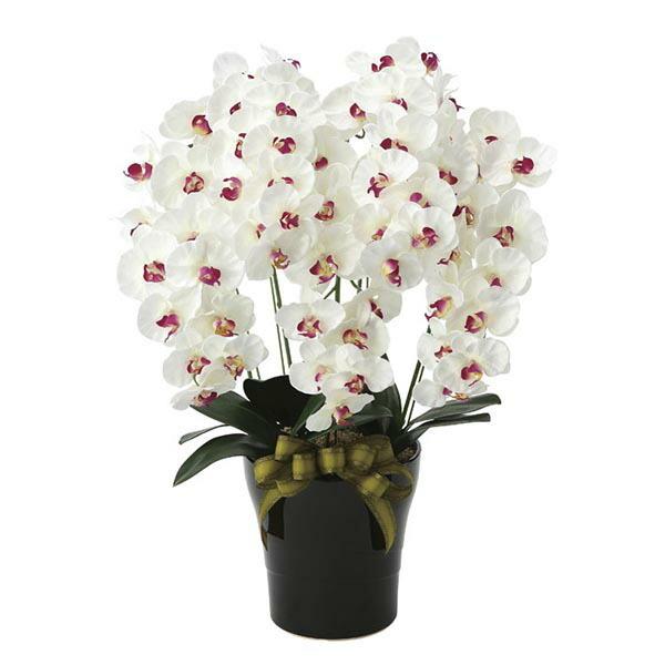 G} Ӓ 5{ R`E lHϗtA zCg   CeA v~AӒ5{W/AB