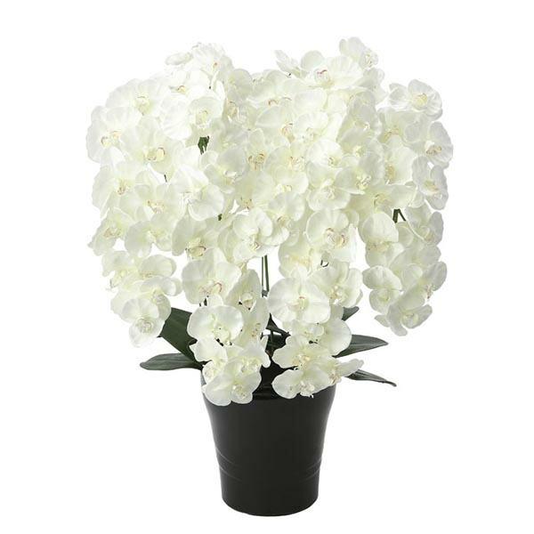 G} Ӓ R`E lHϗtA zCg   CeA v~AӒ7{W