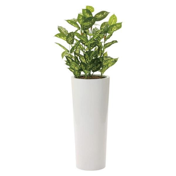 lHϗtA G} ϗtA tFCNO[ CeA lHA 140cm fBtFoLA1.4 L R h