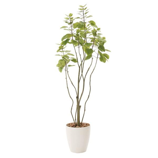 lHϗtA G} ϗtA tFCNO[ CeA lHA 130cm tBJXu`c[1.3 L R h