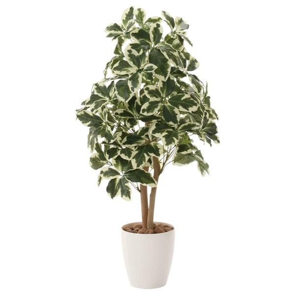 lHϗtA G} ϗtA tFCNO[ CeA lHA 90cm VFt90 L R h