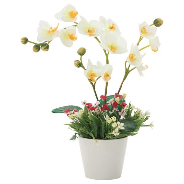 AWt[ G} ϗtA CeA lC   Mtg j  ~bNXR`E t[Mtg a ̓