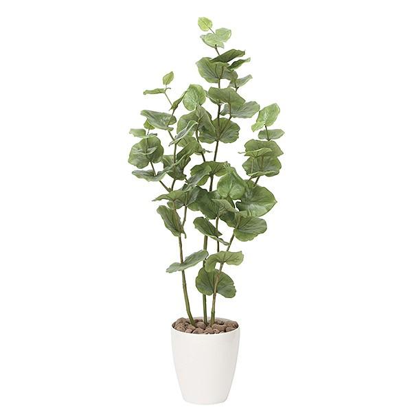 lHϗtA G} ϗtA tFCNO[ CeA lHA 120cm V[O[v L R h