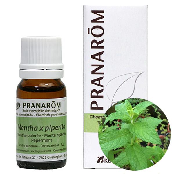 プラナロム（PRANAROM） ペパーミント : アロマオイルSHOP アロマ