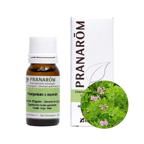 おれんじ3様 プラナロム ゼラニウムエジプト、ローズウッド、パルマローザ