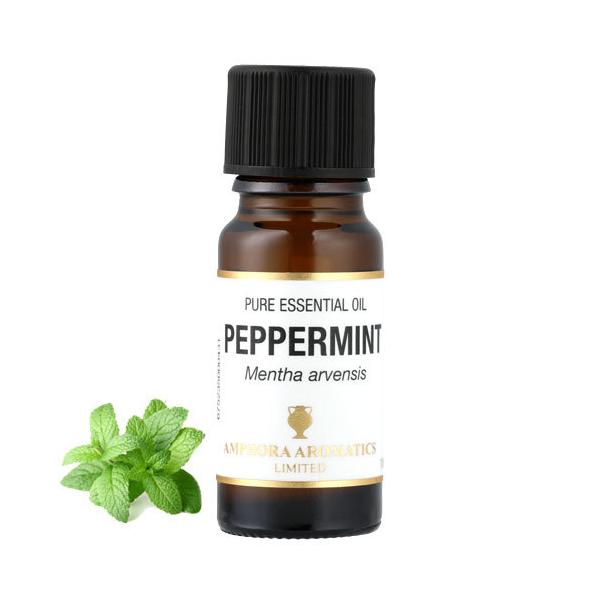 ペパーミントページ ペパーミント 50g スパイス ハーブ mint ハッカ 薄荷 ペパー