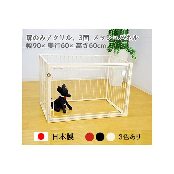 AN P[W W90×D60×H60cm `^p 6MCh NA[    GNXeC extail