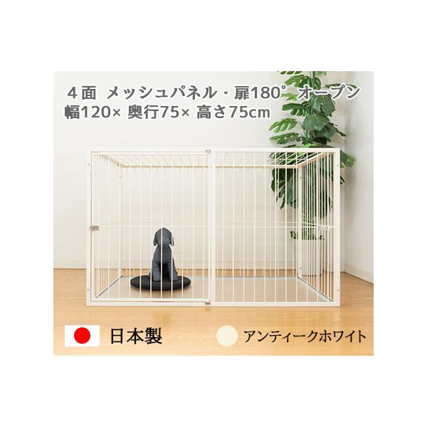 ʎdl P[W W120×D75×H75cm ^ ` ^p MODERATE f[g  GNXeC extail