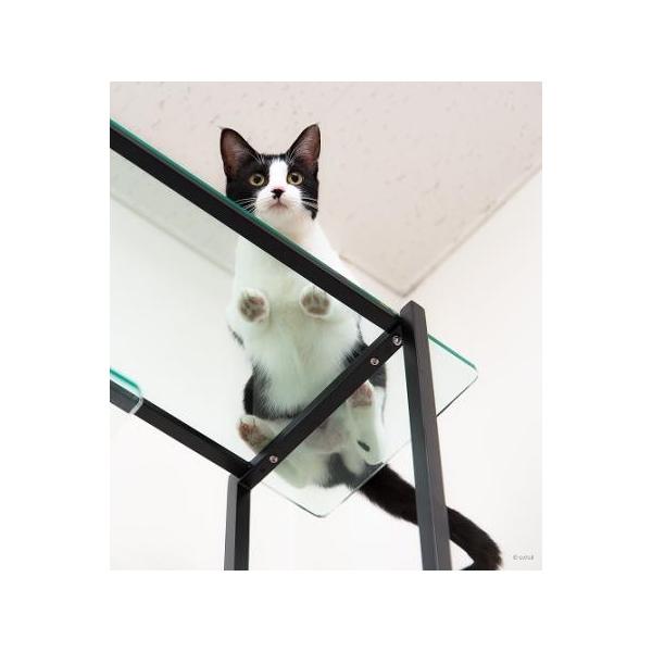 Lbg^[ KX pEY Nbv Cat Shelf Paws Crop extail GNXeC