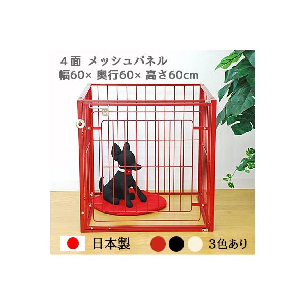 4ʃbV P[W W60×D60×H60cm ^ ` ^p RpNg P[W 6M bV    GNXeC extail