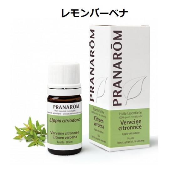 プラナロム レモンバーベナ 5ml 精油 PRANAROM プラナロム（PRANAROM） レモンバーベナ 5ml PRANAROM 精油