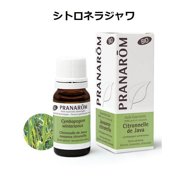 プラナロム シトロネラ・ジャワ BIO 10ml PRANAROM シトロネラジャワ 精油 エッセンシャルオイル アロマオイル【クリックポスト送料無料】