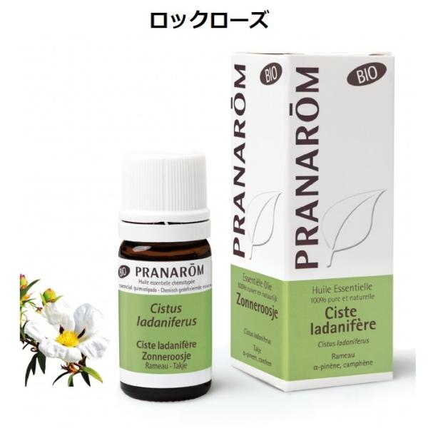 プラナロム（PRANAROM） ロックローズ BIO 5ml PRANAROM シスト 精油