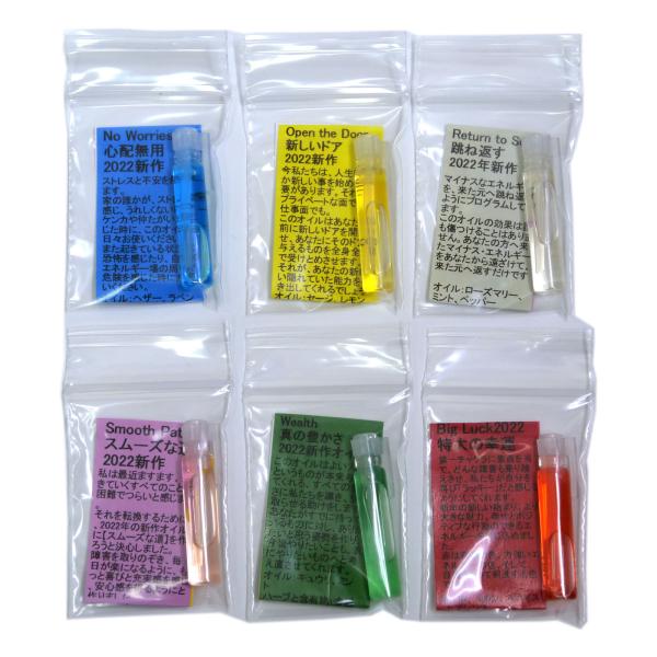 Zbgi0.5ml×6jBigLuck2022E2022NVAVFg[IC5iSzp@VhA@˕Ԃ@X[Yȓ@^̖Lj