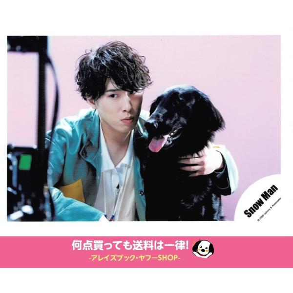 高級ブランド Snowman 犬 公式写真 目黒蓮 Lips My Kissin タレントグッズ Hlt No