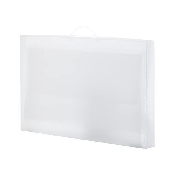 他サイト： レイメイ藤井 作品ファイル クリアー RS1089Tの商品画像