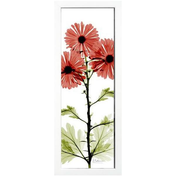 gQA[g  x-ray art A[gpl A[g|X^[ A[gt[ Ǌ| ^yXg[ z k  CeA _A[g ۉ