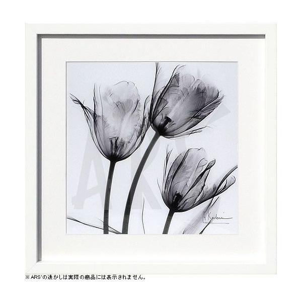gQA[g  x-ray art A[gpl A[g|X^[ A[gt[ Ǌ| ^yXg[ z k  CeA _A[g ۉ
