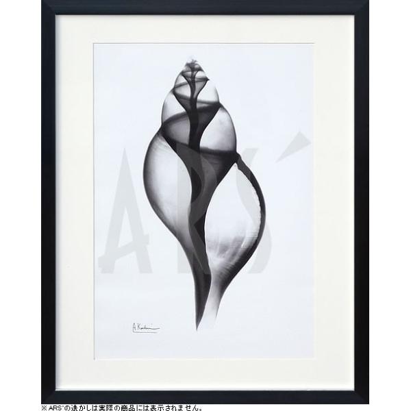 gQA[g  x-ray art A[gpl A[g|X^[ A[gt[ Ǌ| ^yXg[ z k  CeA _A[g ۉ