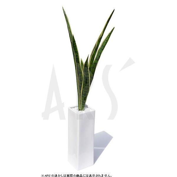 CeAO[ tFCNO[  lHϗtA A[gO[ A[gt[ [tA[g   G} L R C TZxA