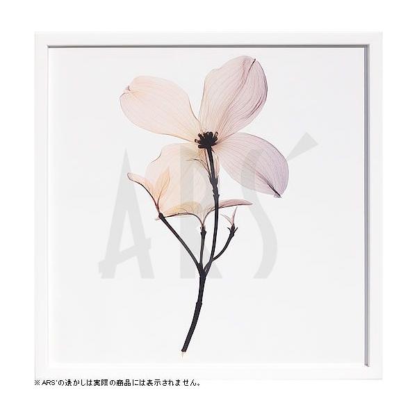 gQA[g  x-ray art A[gpl A[g|X^[ A[gt[ Ǌ| ^yXg[ z k  CeA _A[g ۉ