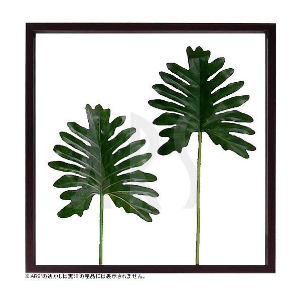 [tpl [tA[g [tt[ A[gpl tFCNO[ Ǌ|  CeAO[ ZE _ k  ^