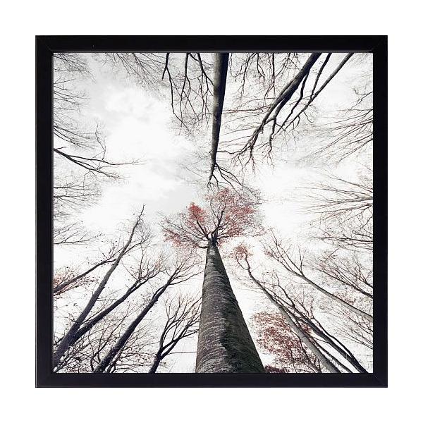 A[gpl A[g|X^[ G CeA Ǌ| ^yXg[ A[gt[ tHgOtBA[g Sainte Laudy Philippe _ k 