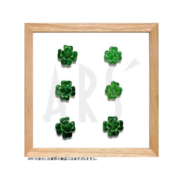 インテリアアート リーフアートパネル プラントフレーム クローバー タペストリー ウォールアート 絵画 インテリア 北欧 Buyee 日本代购平台 产品购物网站大全 Buyee一站式代购 Bot Online