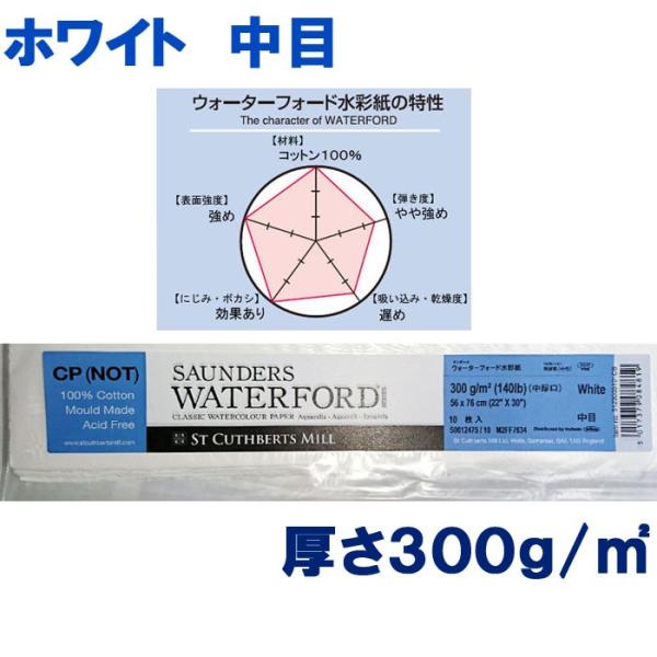 ホルベイン ウォーターフォード水彩紙 ホワイト 中目 ＜中厚口＞300g